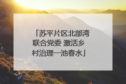 苏平片区北部湾联合党委 激活乡村治理一池春水