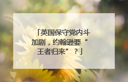 英国保守党内斗加剧，约翰逊要“王者归来”？