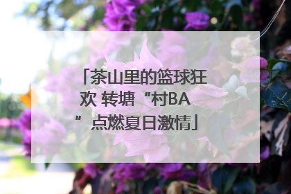 茶山里的篮球狂欢 转塘“村BA”点燃夏日激情