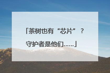 茶树也有“芯片”？守护者是他们……