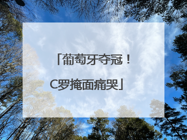 葡萄牙夺冠！C罗掩面痛哭