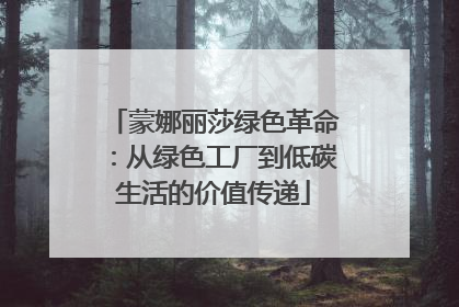 蒙娜丽莎绿色革命：从绿色工厂到低碳生活的价值传递