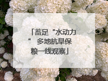 蓄足“水动力” 多地抗旱保粮一线观察