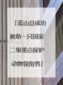 蓝山县成功救助一只国家二级重点保护动物领角鸮