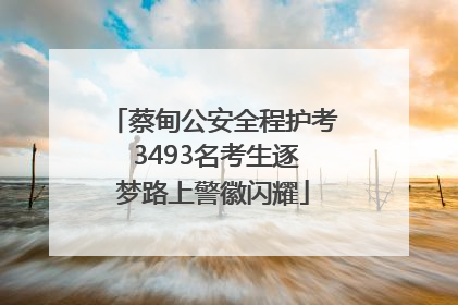 蔡甸公安全程护考 3493名考生逐梦路上警徽闪耀