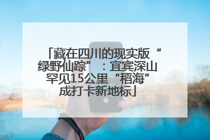 藏在四川的现实版“绿野仙踪”：宜宾深山罕见15公里“稻海”成打卡新地标