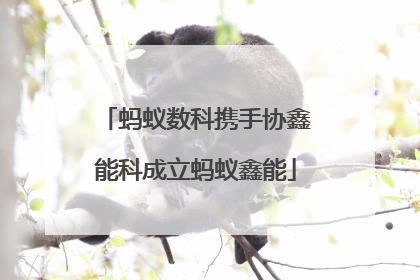 蚂蚁数科携手协鑫能科成立蚂蚁鑫能