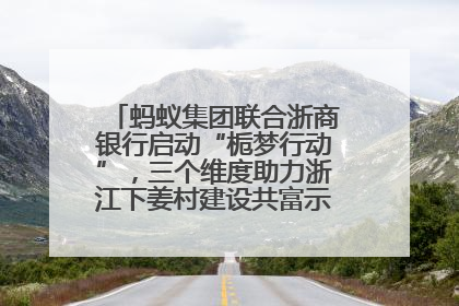 蚂蚁集团联合浙商银行启动“栀梦行动”，三个维度助力浙江下姜村建设共富示范区示范点