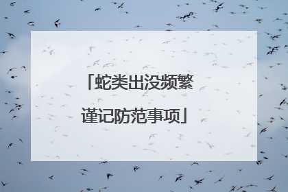 蛇类出没频繁 谨记防范事项