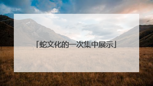 蛇文化的一次集中展示