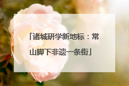 诸城研学新地标：常山脚下非遗一条街