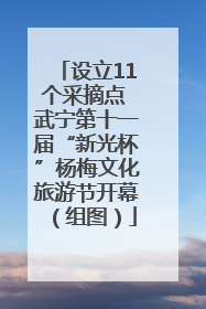 设立11个采摘点 武宁第十一届“新光杯”杨梅文化旅游节开幕（组图）