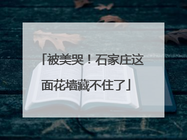 被美哭！石家庄这面花墙藏不住了
