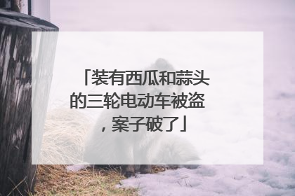 装有西瓜和蒜头的三轮电动车被盗，案子破了