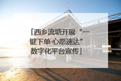 西乡流塘开展“一键下单·心愿速达”数字化平台宣传