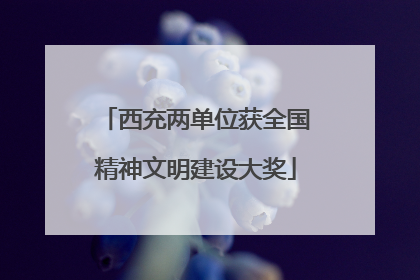 西充两单位获全国精神文明建设大奖