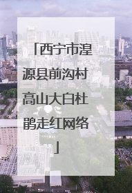 西宁市湟源县前沟村高山大白杜鹃走红网络