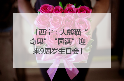 西宁：大熊猫“奇果”“园满”迎来9周岁生日会