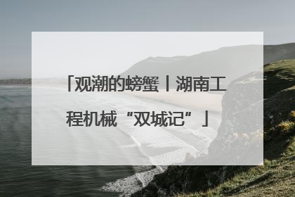 观潮的螃蟹丨湖南工程机械“双城记”