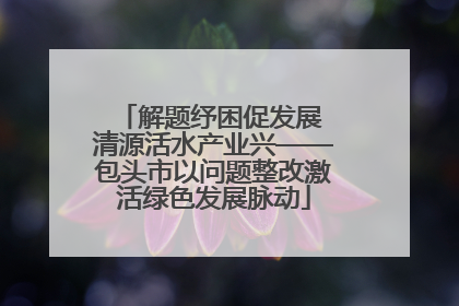 解题纾困促发展 清源活水产业兴——包头市以问题整改激活绿色发展脉动