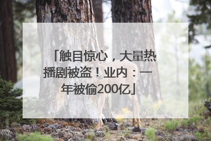 触目惊心，大量热播剧被盗！业内：一年被偷200亿