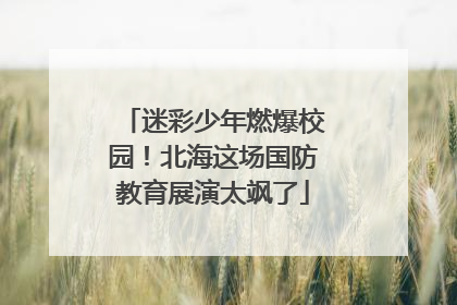 迷彩少年燃爆校园！北海这场国防教育展演太飒了