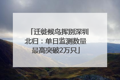 迁徙候鸟挥别深圳北归：单日监测数量最高突破2万只