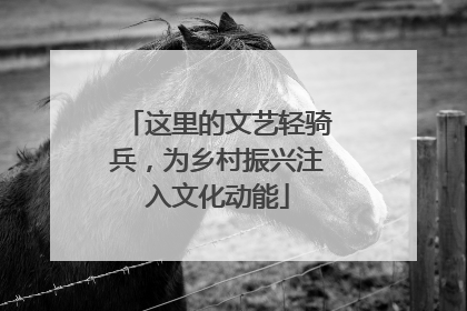 这里的文艺轻骑兵，为乡村振兴注入文化动能