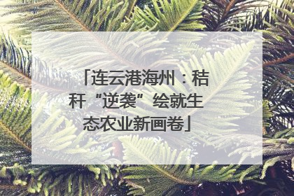 连云港海州：秸秆“逆袭”绘就生态农业新画卷
