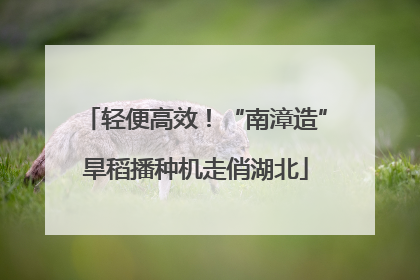 轻便高效！“南漳造”旱稻播种机走俏湖北