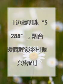 边疆明珠“5288”，烟台援藏解锁乡村振兴密码