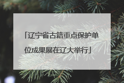 辽宁省古籍重点保护单位成果展在辽大举行