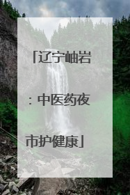 辽宁岫岩：中医药夜市护健康