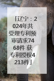辽宁：2024年共受理专利预审请求7468件 获专利授权4213件