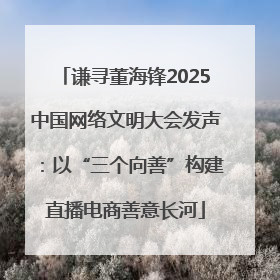 谦寻董海锋2025中国网络文明大会发声：以“三个向善”构建直播电商善意长河