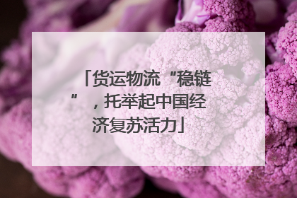 货运物流“稳链”，托举起中国经济复苏活力