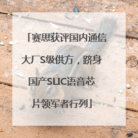 赛思获评国内通信大厂S级供方，跻身国产SLIC语音芯片领军者行列