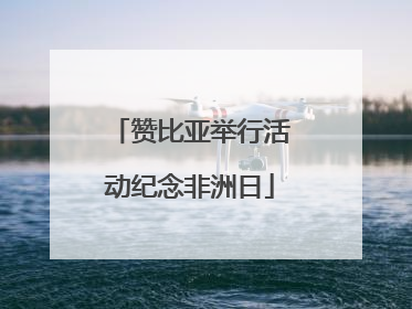 赞比亚举行活动纪念非洲日