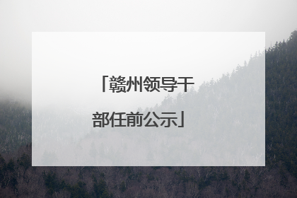 赣州领导干部任前公示