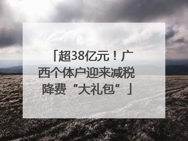 超38亿元！广西个体户迎来减税降费“大礼包”