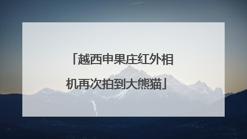 越西申果庄红外相机再次拍到大熊猫