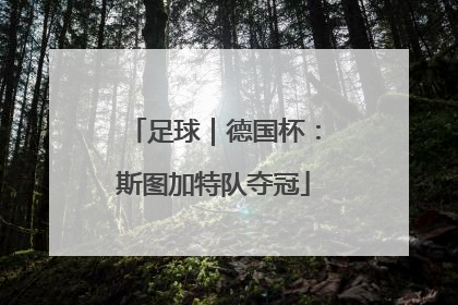足球｜德国杯：斯图加特队夺冠