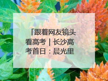 跟着网友镜头看高考｜长沙高考首日：晨光里的奔赴与守望