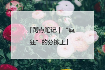 蹲点笔记｜“疯狂”的分拣工