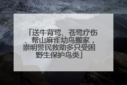 送牛背鹭、苍鹭疗伤、帮山麻雀幼鸟搬家，崇明警民救助多只受困野生保护鸟类