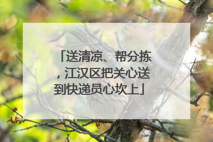 送清凉、帮分拣，江汉区把关心送到快递员心坎上