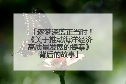 逐梦深蓝正当时！《关于推动海洋经济高质量发展的提案》背后的故事