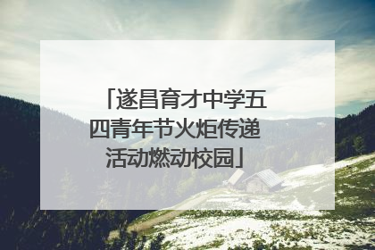 遂昌育才中学五四青年节火炬传递活动燃动校园