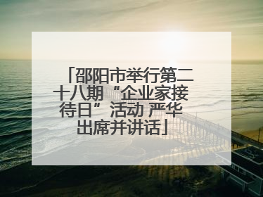 邵阳市举行第二十八期“企业家接待日”活动 严华出席并讲话