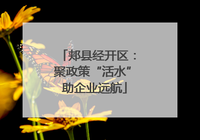 郏县经开区：聚政策“活水” 助企业远航